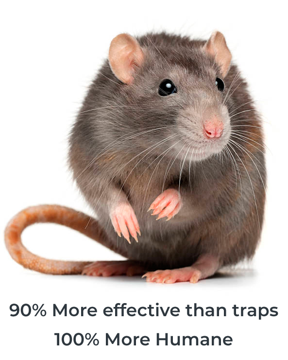 Why Conntraceptol&reg;