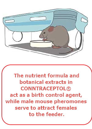 Food Intolerance Study